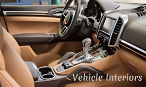 Vehicle intierior mods button
