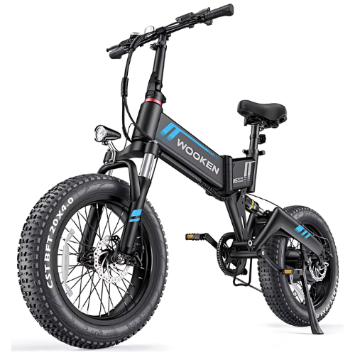 ANCHEER Electric Bike, 20''X4.0 Fat Tire Electric Bike for Adults,500W(Peak 750W) Foldable Electric Bike with 48V 10Ah Battery,20MPH Ebike for Mountain Beach Snow-AN5942